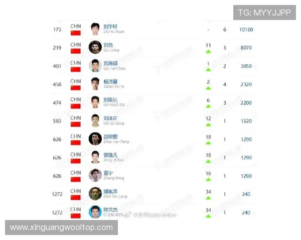 重庆羽毛球队在全国羽毛球速度排行榜中荣获第六名的佳绩引发关注