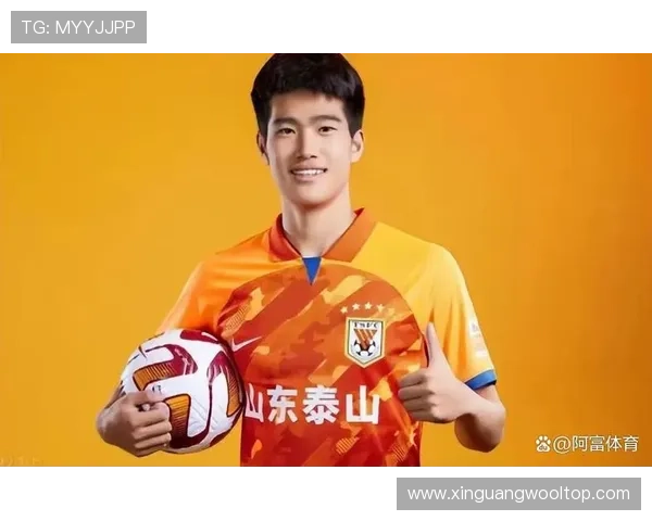 南京足球队球员个人能力排名前十引发热议实力强劲备受瞩目